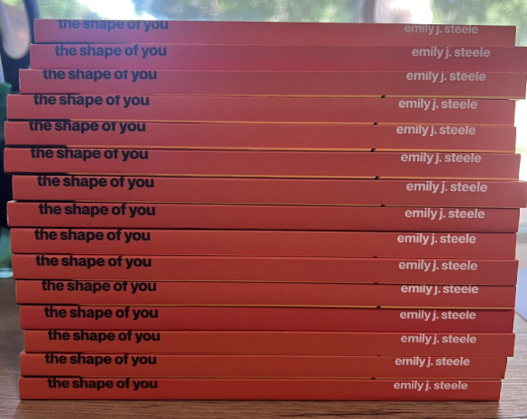 A stack of thirteen red copies of “the shape of you” by Emily J. Steele, often used in workers’ compensation mediation.